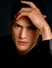 Вентворт Миллер (Wentworth Miller)