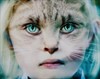 XII Манхэттенский фестиваль короткометражного кино