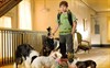 Отель для собак (Hotel for Dogs)