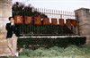 Академия «Рашмор» (Rushmore)