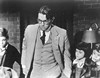 Убить пересмешника (To Kill a Mockingbird)