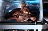 Уэсли Снайпс (Wesley Snipes)