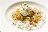 Ragout
