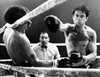 Бешеный бык (Raging Bull)