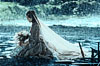 Кира Найтли (Keira Knightley)