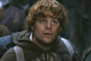 Властелин Колец: Братство Кольца (The Lord of the Rings: The Fellowship of the Ring)