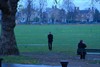 Платон