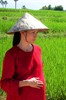 Люси Лю (Lucy Liu)