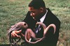Уилл Смит (Will Smith)